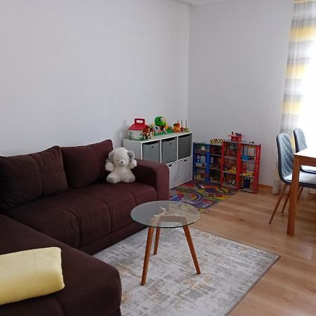 Ferienwohnung Mit Garten Und Spielplatz Klingenthal Exteriér fotografie
