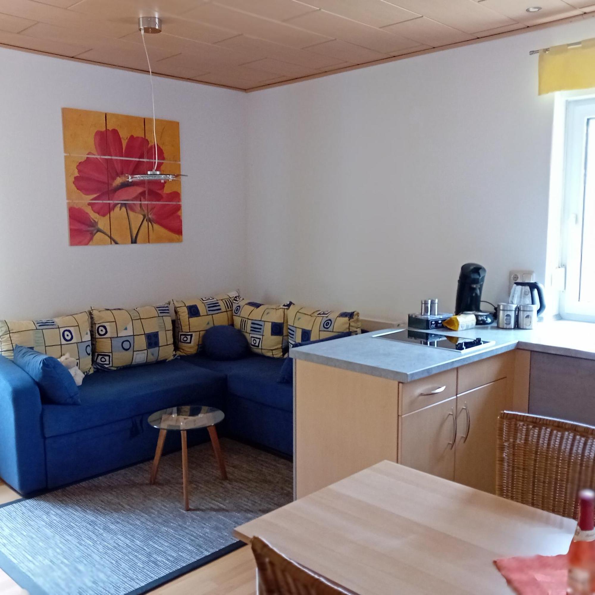 Ferienwohnung Mit Garten Und Spielplatz Klingenthal Exteriér fotografie